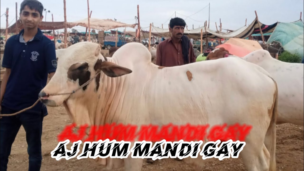 Mandi boht mahangi hain#plz #subscribe #like #viralvideo #pakistan part1 part 2 comingsoon inshallah