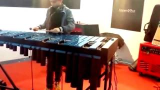 vanderPlas vibraphone music Motor System On Vanderplas Vibraphones