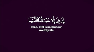 سورة المؤمنون - من الآية 34 إلى الآية 40 { هَيْهَاتَ هَيْهَاتَ لِمَا تُوعَدُونَ }