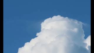 Watch how the growing cumulus  overtakes a Pileus Cloud by Mila  441 views 3 days ago 14 seconds