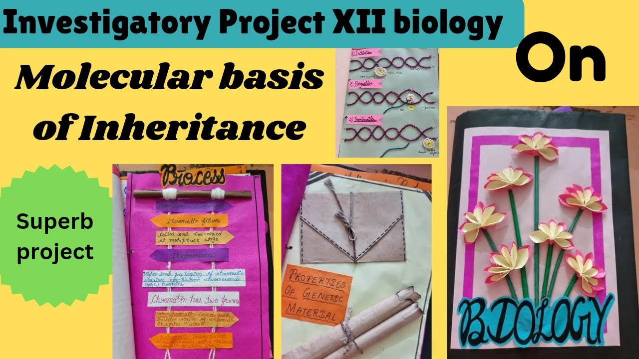 Project files best idea 🖇️pdf💡, Investigatory Project on molecular ...