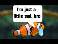 Can a Fish be Depressed?