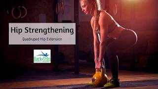 Hip Strengthening: Quadruped Hip Extension