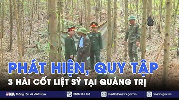 Phát hiện, quy tập 3 hài cốt liệt sỹ tại Quảng Trị - VNA