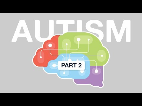 What is Autism? Part II