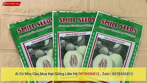 Hạt giống dưa lê bạch tuyết, Nơi bán Bạch Ngọc giá rẻ, uy tín, chất lượng nhất