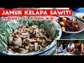 MUANTEEEEP! Jamur Kelapa Sawit + Terong Telur Puyuh Petai Balado!