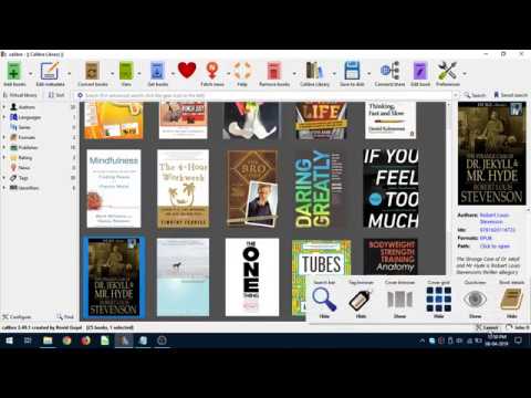 Descomponer Tropical sensación Customizing Calibre Ebook Manager And Viewer For Best Experience - Change  Calibre Theme - YouTube