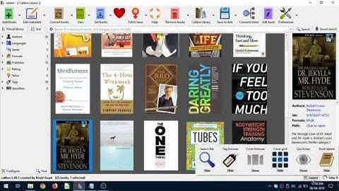 Customizing Calibre Ebook Manager And Viewer For Best Experience - Change Calibre Theme