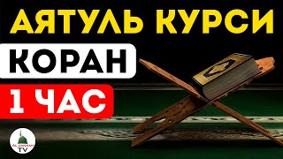 Аятуль Курси. Коран 1 час Слушать от сглаза и порчи каждый день