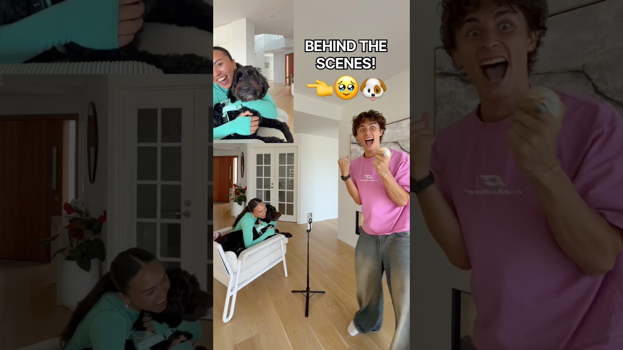 HOOD BABY VIRAL TIKTOK TREND 🩵 THE SCENES 🥹😭 #shorts #puppy #dog