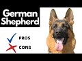 German Shepherd Pros And Cons | The Good AND The Bad