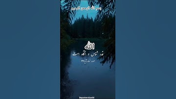 ترجمه فارسي سوره مبارکه نساء آیه ۱۴۷☝️🤲🕋❤️