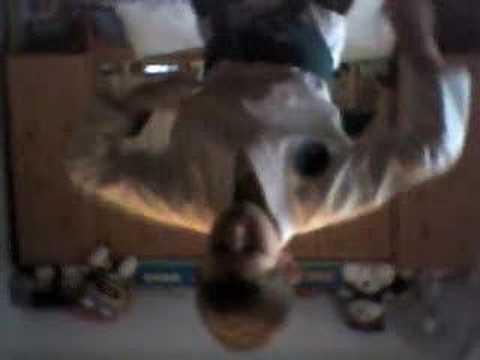 Wing Ma Photo 23