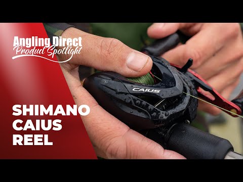 Shimano Caius Reel – Predator Fishing Product Spotlight