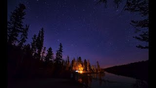 Nightfall Forest Sounds of Nature