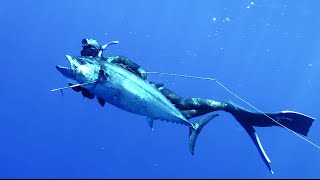 DOGTOOTH TUNA Spearfishing