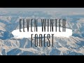 Elven winter forest  sounds of sleep loop 48min