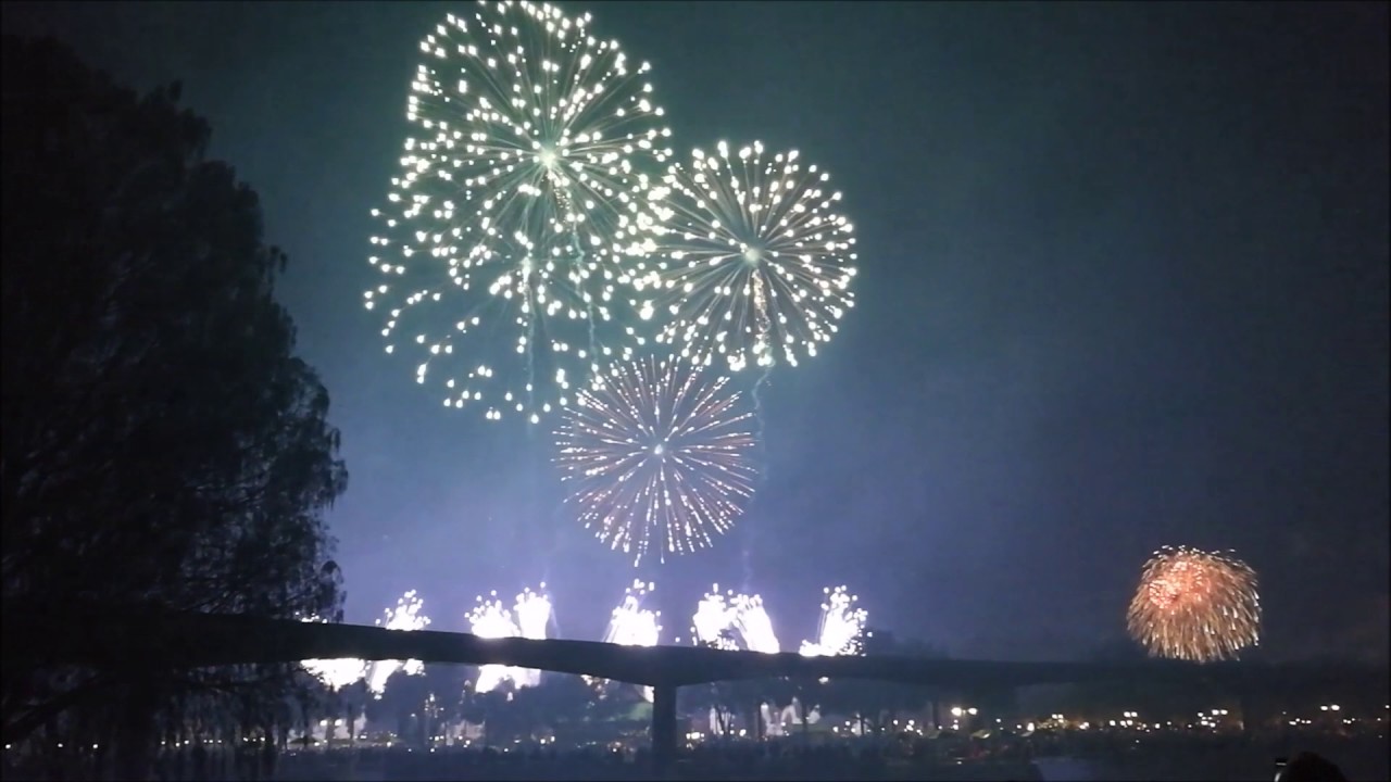 wdw walt disney world