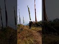 Meadows and wildflowers #mountains #darjeeling #nature #travel #trendingshorts #feel
