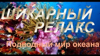 Очень красивая Релакс музыка  + Красота подводного мира