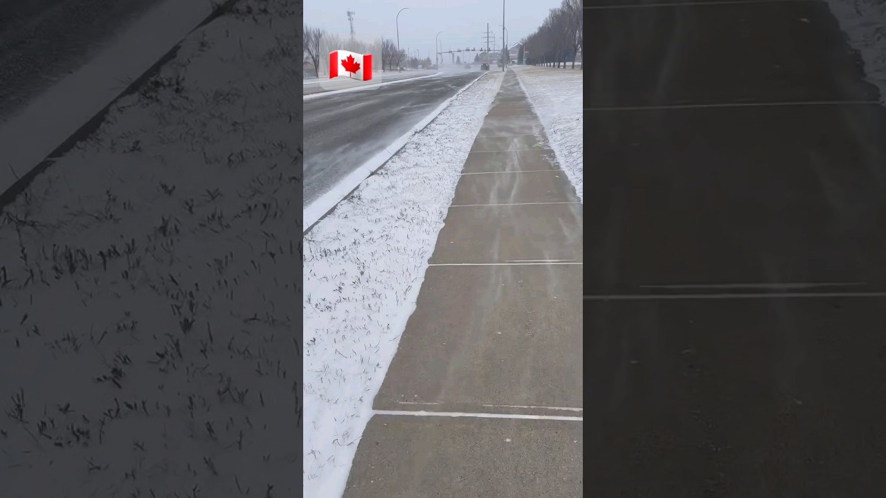 Winter season🇨🇦  public road canada 