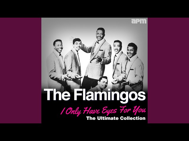 FLAMINGOS - BEGIN THE BEGUINE