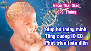 🎧 Nhạc Thai Giáo Cho Mẹ Bầu Giúp Thai Nhi Phát Triển Thông Minh Thai Nhi Từ 0 đến 9 tháng