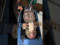 Dieser Moment wird dein Herz berühren 😢🐶:#Emotion #viral