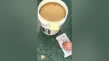 Best rat & mouse trap easy to make #diy #rat #mouse