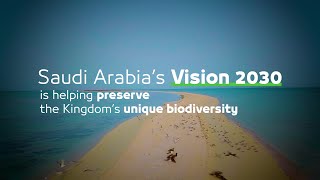 Protect our environment. Protect our present. Protect our future. | Sustainable Saudi Vision