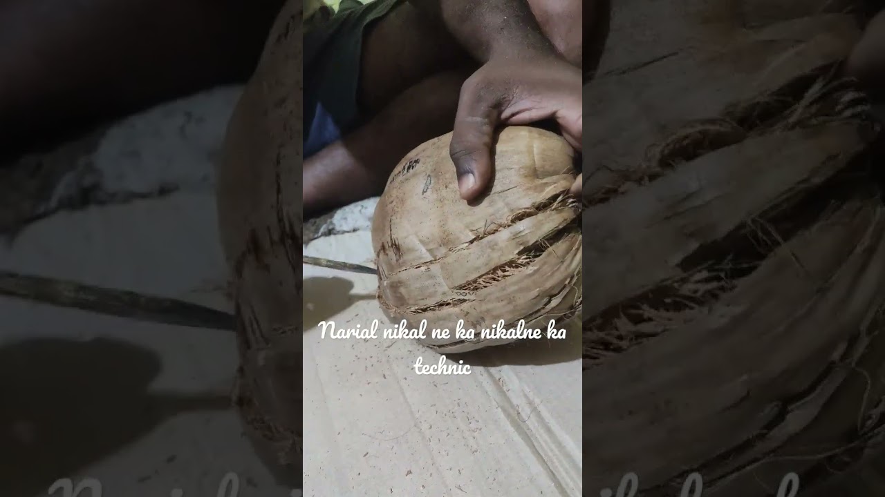 Narial Nikalne Ka Tecnic Coconut Remove Easyly village cocunutwater narial-nikalne-ka-tecnic-coconut-remove-easyly-village-cocunutwater