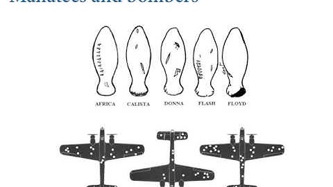 Statistical Rethinking - Lecture 09