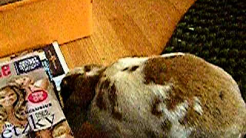 GEORGE.MOV