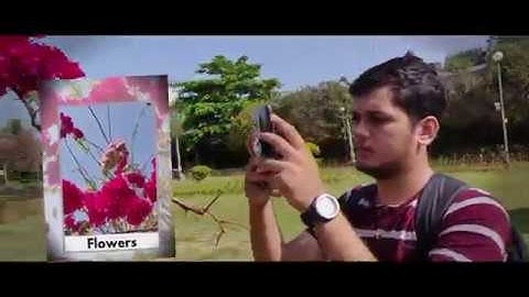 Photowalk by Google Crowdsource India Community