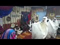 مرزق التاريخ والحضارة مرزق التاريخ والحضارة