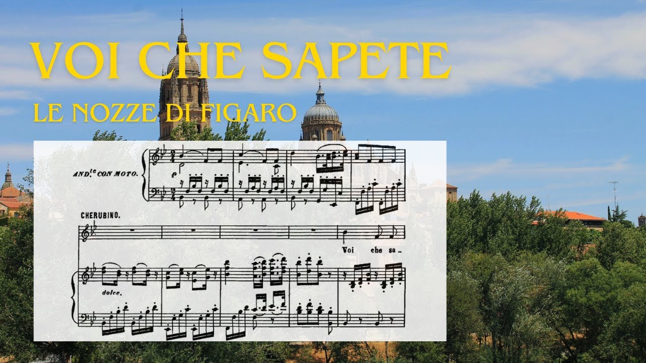 🎼Full Orchestra with Score // Voi che sapete YouTube