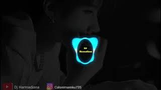 DJ JUNGLE DUTCH TERBARU 2022 DJ PULANG SAYANG MAMA GIGIT H.