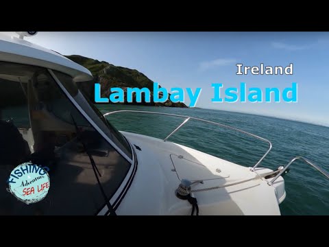 lambay island boat trips