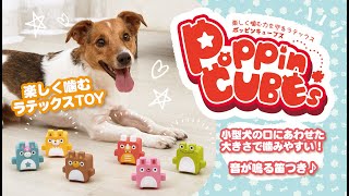 楽しく噛むラテックスTOY_音が鳴る笛つき_ポッピンキューブズ_小型犬にオススメi_love_pets