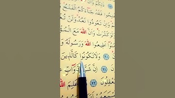 سورة الأنفال الأية 20 إلى 23 القارئ سعد الغامدي