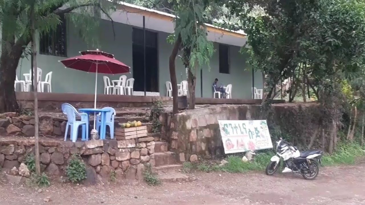 #በፎንተኒና መናፈሻ ፓፓያ ጎረድ ጎረድ ይጠቀሙ/ fontenina Italia