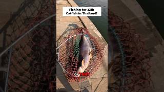 Look At The Size Of This Full Vlog On My Channel