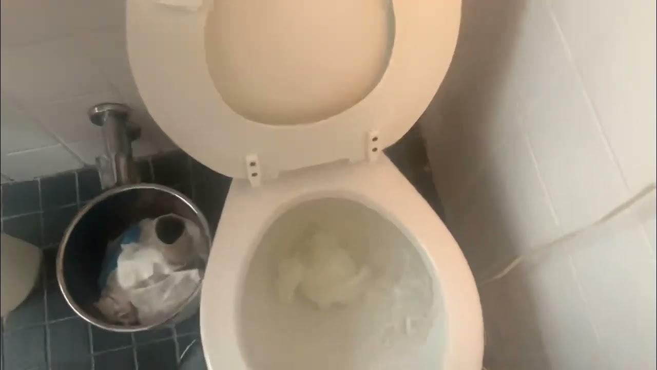 Gerber Northpoint Forward Trap Toilet YouTube