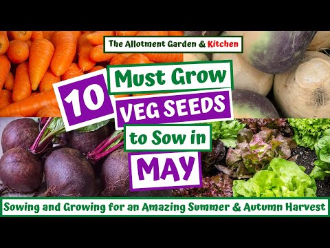 Video: Dārzeņu pirmssēšana - informācija par dārza priekšstādīšanu pavasarim