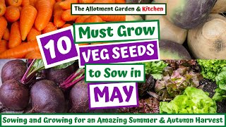 What Veg to Sow in May | Easy to Grow Veg for a Super Summer/Autumn/Winter Harvest #107