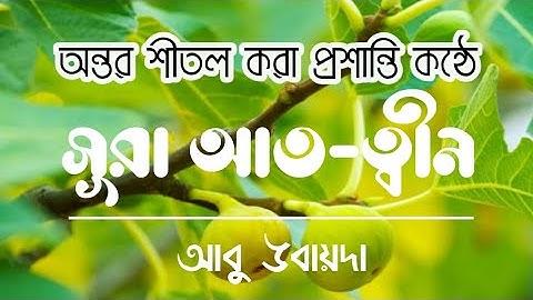 হৃদয় ছুঁয়ে যাওয়া তেলওয়াত সূরা আত-ত্বীন | surah at-tin | سورة التّين | Abu Ubayda