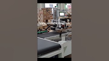 #shorts Automatic labeling machine for express with conveyor
