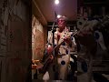 ギターパンダ/大宇宙酒場 2019.9.24