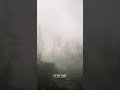 Take a breather | Red Dead Online #SHORTS